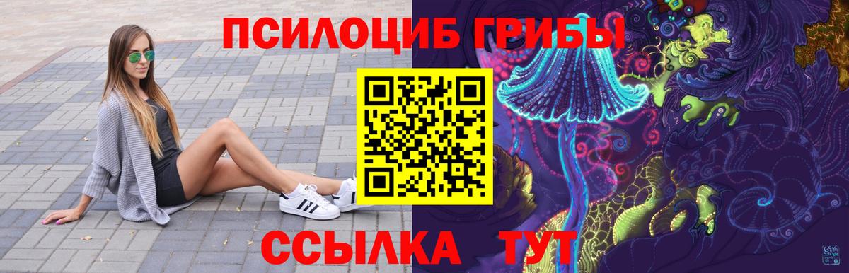 Галлюциногенные грибы прущие грибы Тула